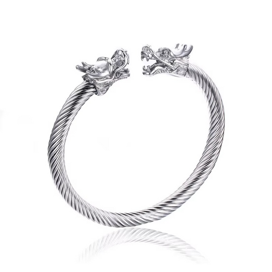 Alpha Dragon Silver Steel Bracelet